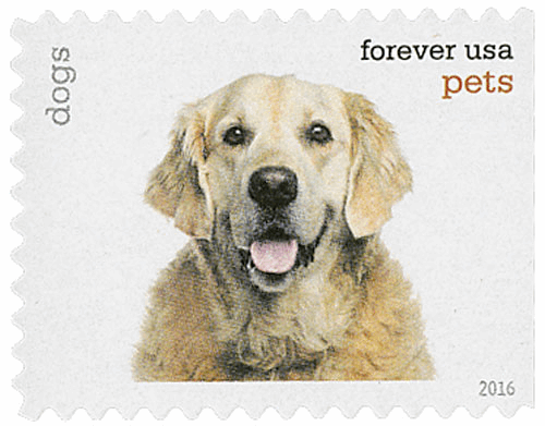 Pets Celebrate Animals 2016  - 5 Booklets / 100 Pcs