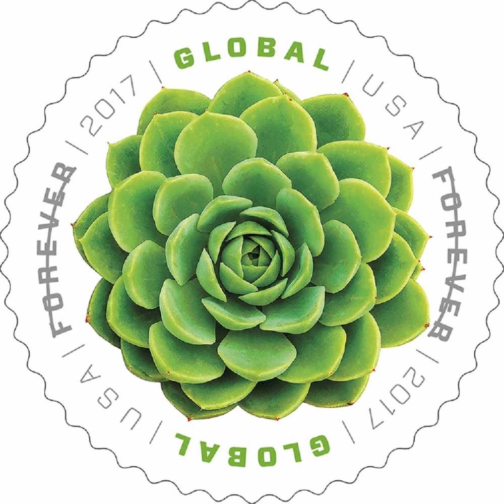 Global Green Succulent 2017 - 5 Sheets / 50 Pcs