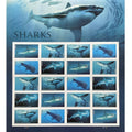 Sharks 2017 - 5 Sheets / 100 Pcs