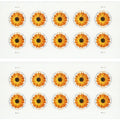 Global African Daisy 2022 - 5 Sheets / 50 Pcs