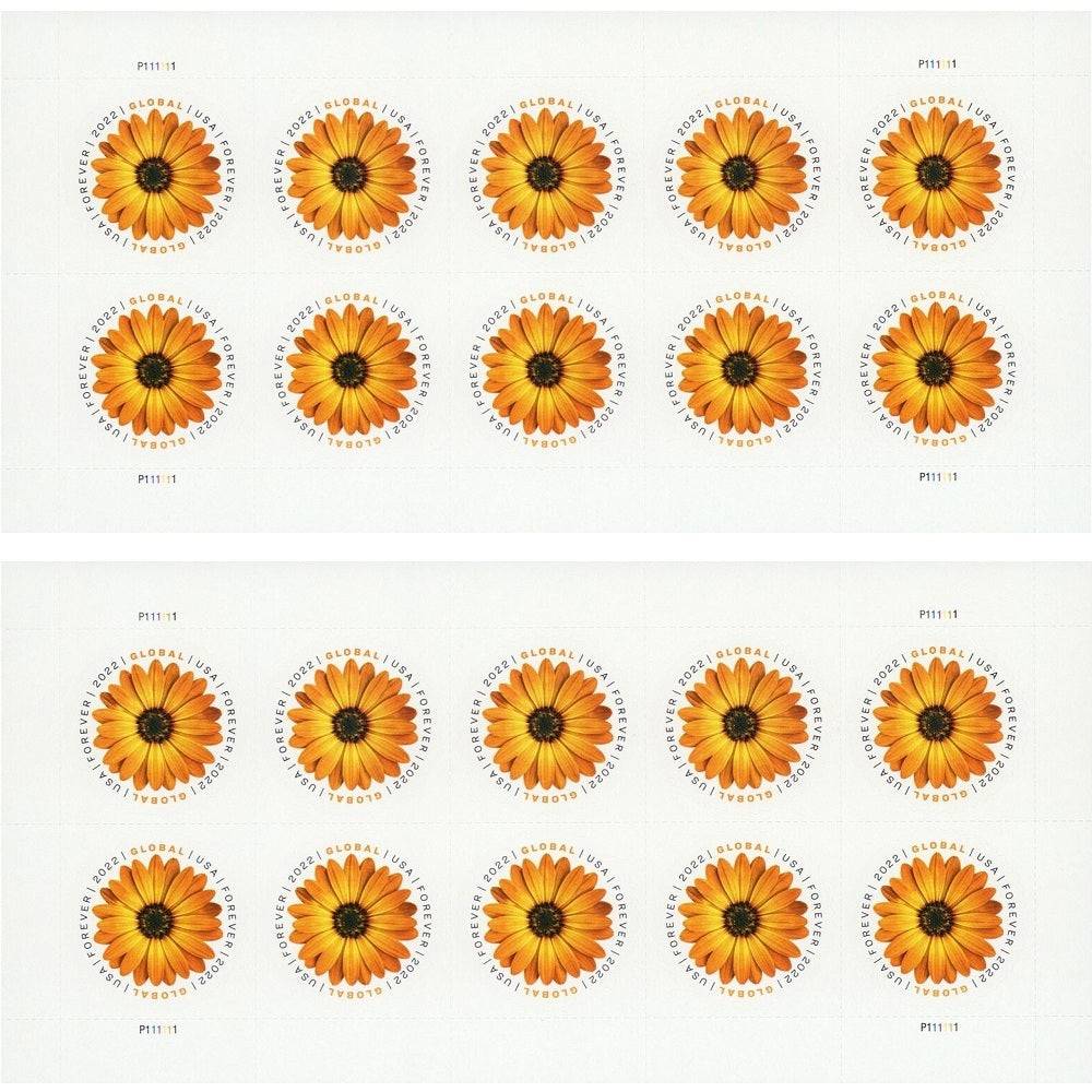 Global African Daisy 2022 - 5 Sheets / 50 Pcs