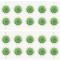 Global Green Succulent 2017 - 5 Sheets / 50 Pcs