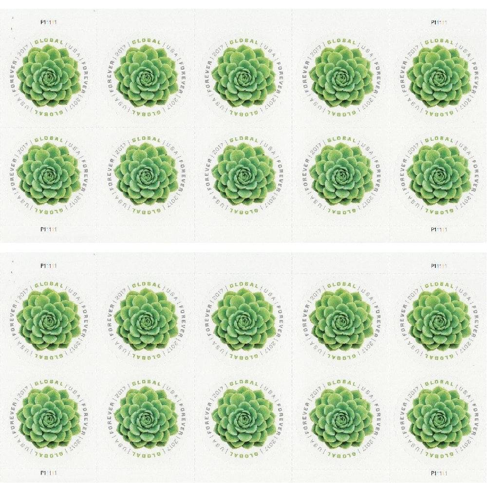 Global Green Succulent 2017 - 5 Sheets / 50 Pcs