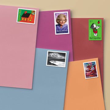 CULTURAL ICONS BUNDLE