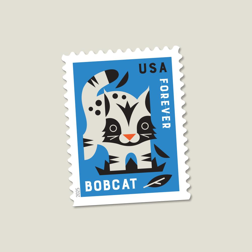 Baby Wild Animals 2025