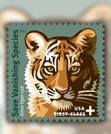 Save Vanishing Species Amur Tiger 2011
