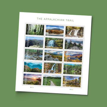 The Appalachian Trail 2025
