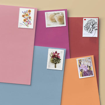 CLASSIC ROSES BUNDLE