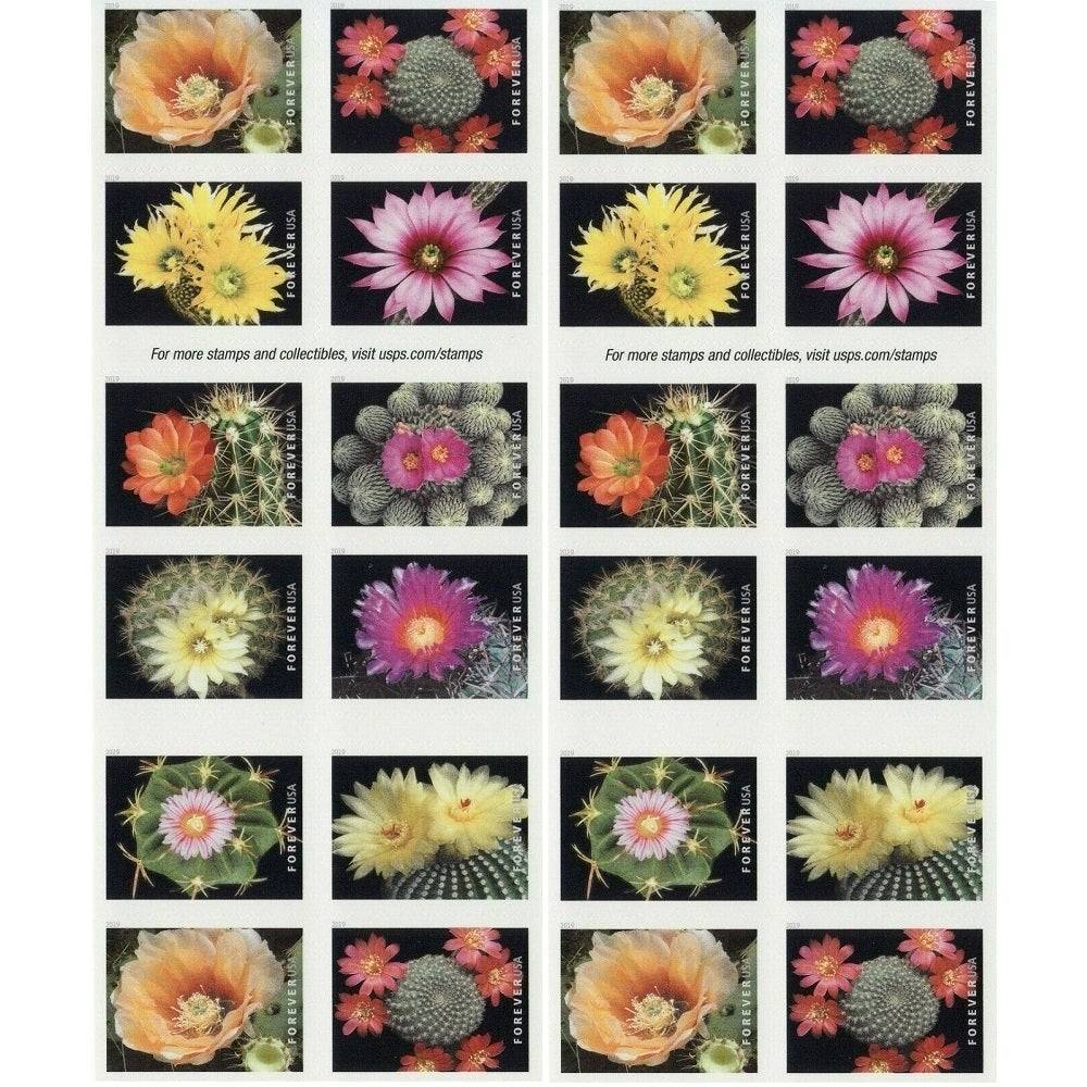 Cactus Flowers 2019 - 5 Booklets / 100 Pcs - USTAMPS