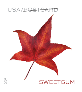 Vibrant Leaves Sheet