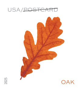 Vibrant Leaves Roll 2025