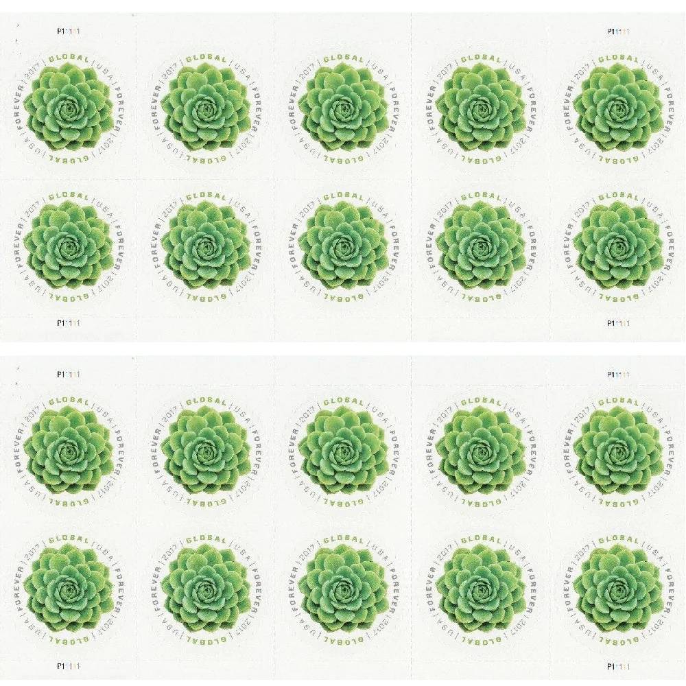 GLOBAL FLOWERS BUNDLE