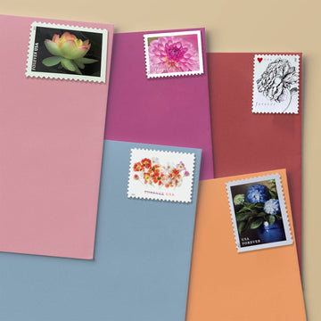 GARDEN FLOWERS BUNDLE