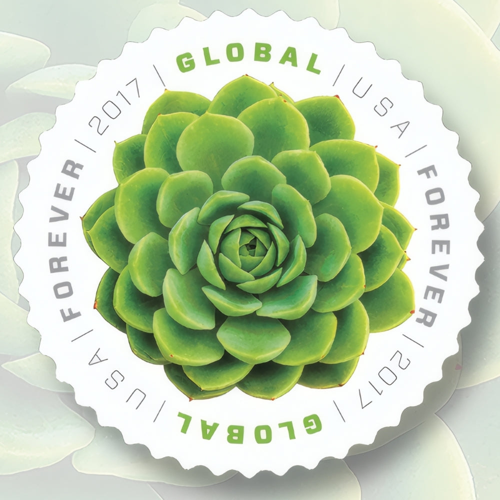 Global Green Succulent 2017