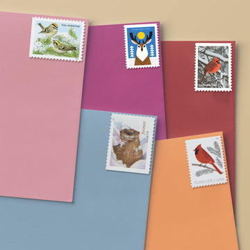 WINTER WILDLIFE BUNDLE