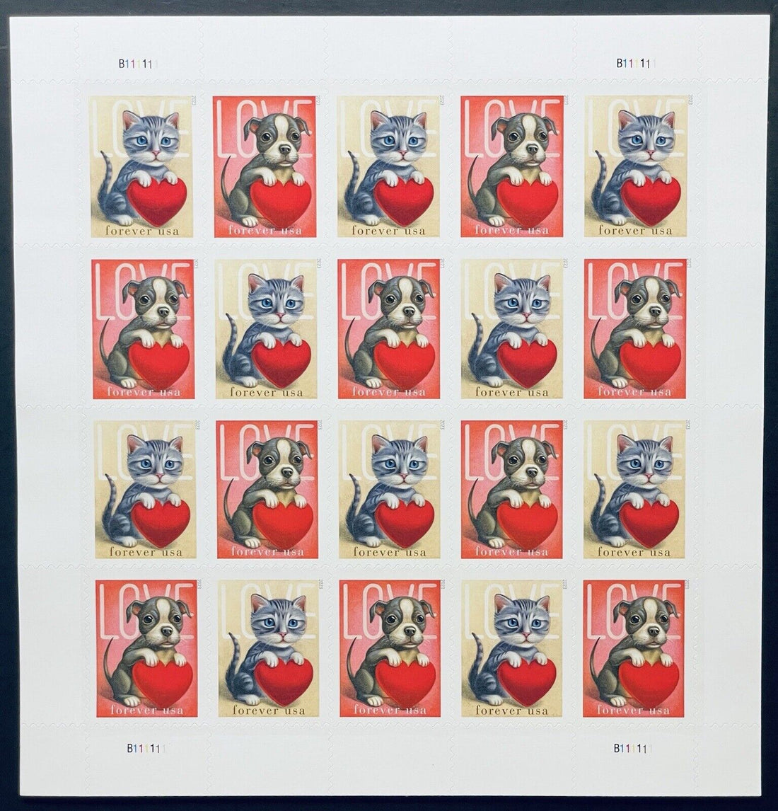 MESSAGE OF CARE BUNDLE