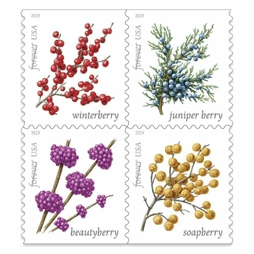 Winter Berries 2019  - 5 Booklets / 100 Pcs