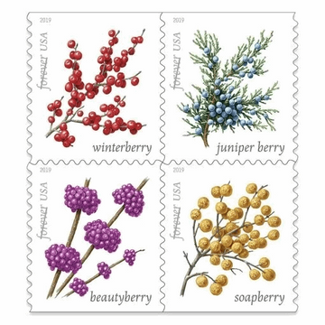 Winter Berries 2019  - 5 Booklets / 100 Pcs