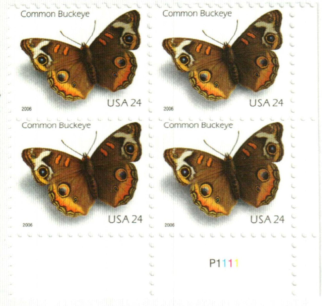Common Buckeye Butterfly 2006 - 5 Sheets / 100 Pcs