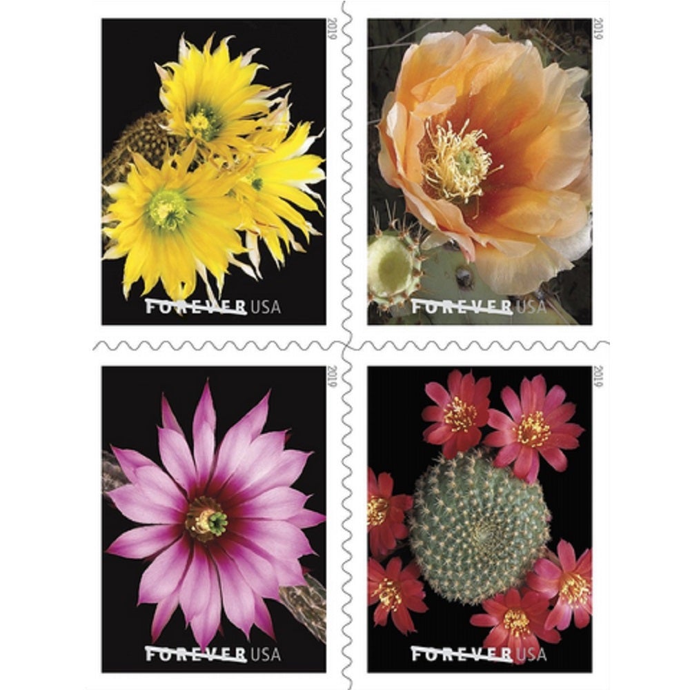 Cactus Flowers 2019 - 5 Booklets / 100 Pcs - USTAMPS