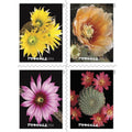 Cactus Flowers 2019 - 5 Booklets / 100 Pcs - USTAMPS